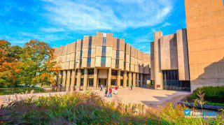 Miniatura de la Northwestern University #8