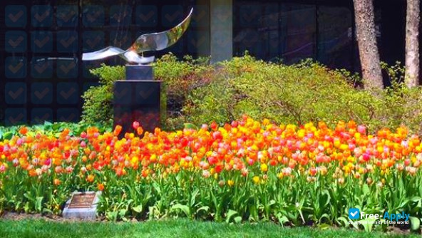 Northeastern University фотография №12