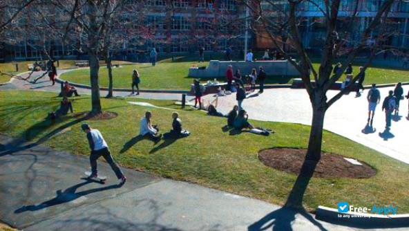 Northeastern University фотография №5