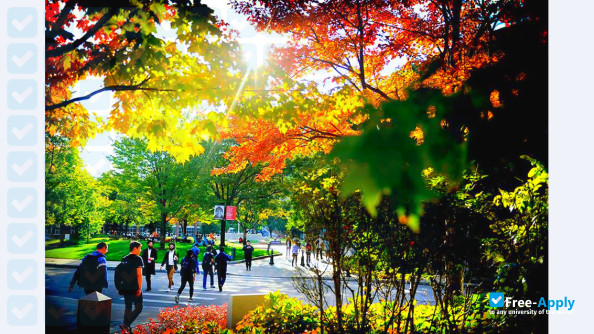 Northeastern University фотография №6