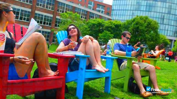 Northeastern University фотография №11