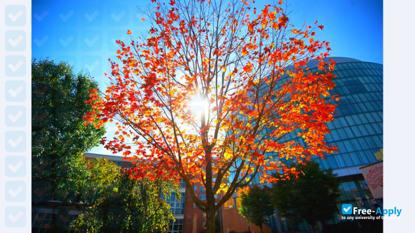 Northeastern University фотография №2