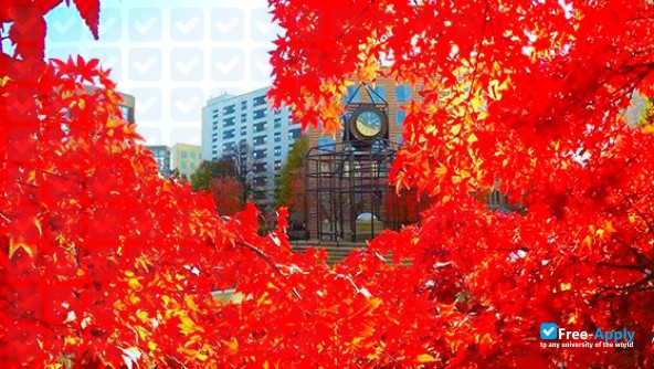 Northeastern University фотография №14