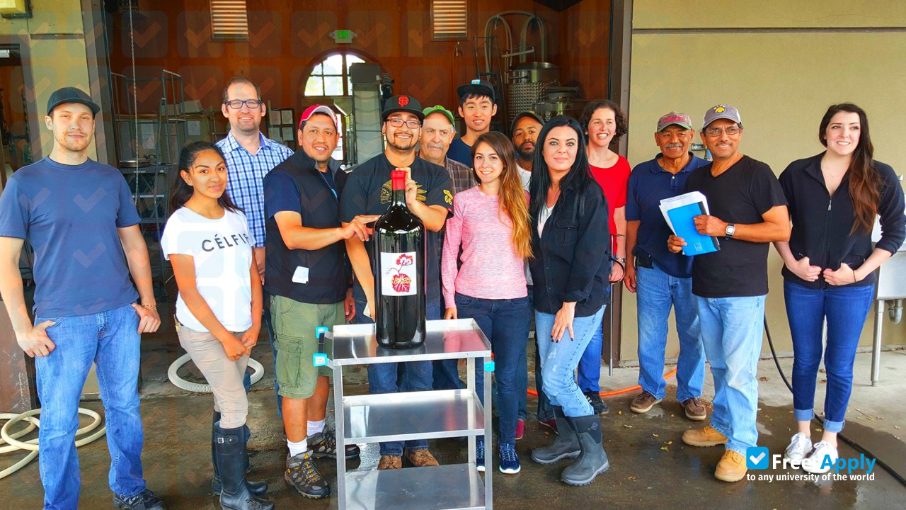 Napa Valley College photo #3
