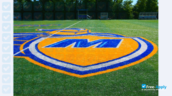 Madonna University photo #10
