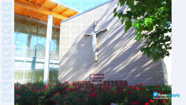 Madonna University photo #8