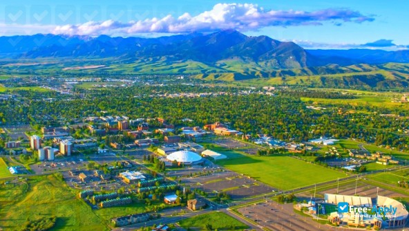 Montana State University photo #6
