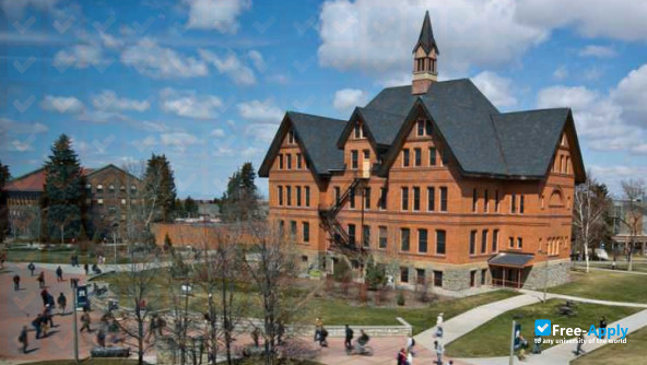 Montana State University photo #6
