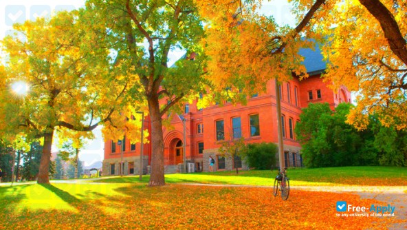 Montana State University photo #1