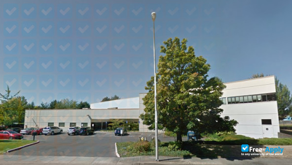 Pioneer Pacific College photo #11