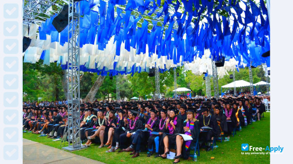 Pomona College photo #9