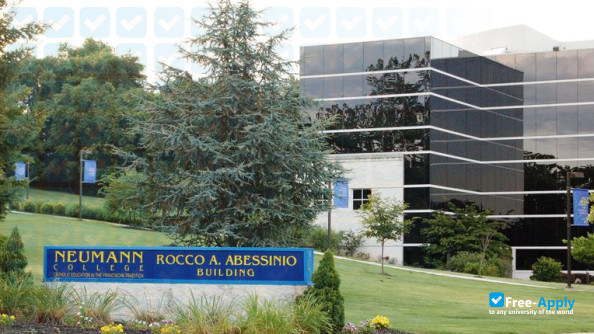 Neumann University photo #4