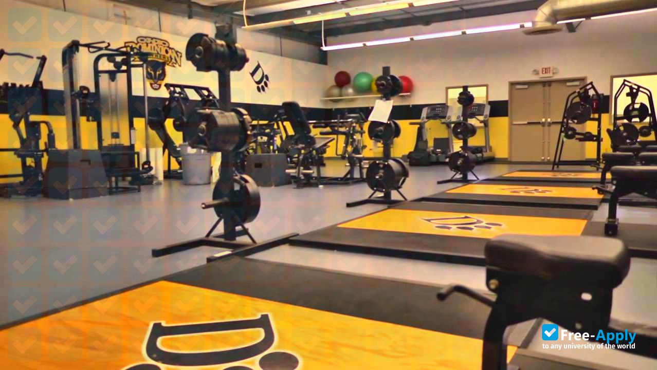 Ohio Dominican University photo #7
