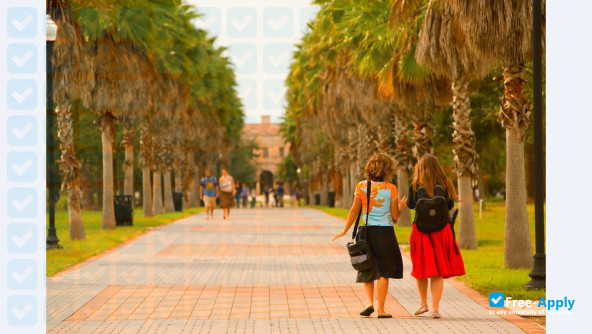 Foto de la New College of Florida #8