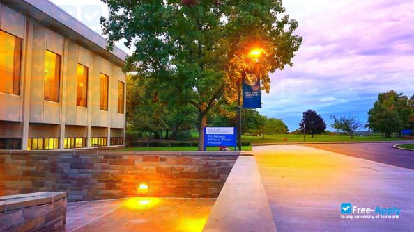 New York Chiropractic College photo #4