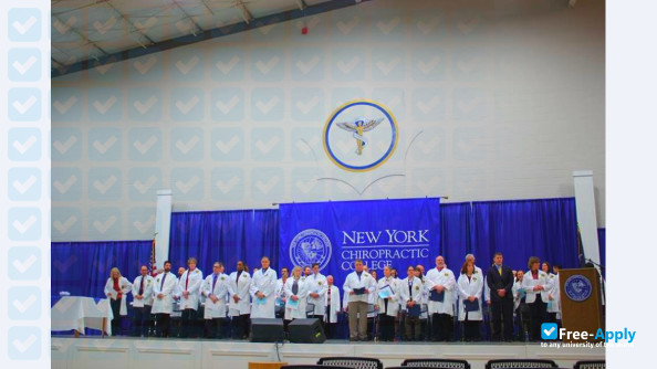New York Chiropractic College photo #6