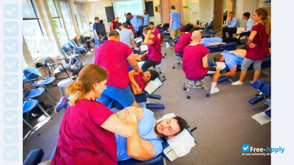 New York Chiropractic College photo #9