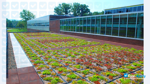 Marywood University photo #7
