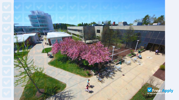 Manchester Community College, Connecticut photo #11