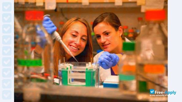 New York Medical College photo #2