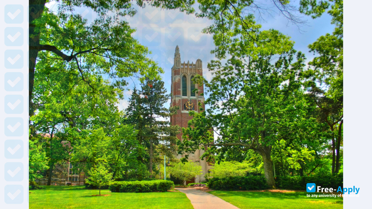 Michigan State University photo #3