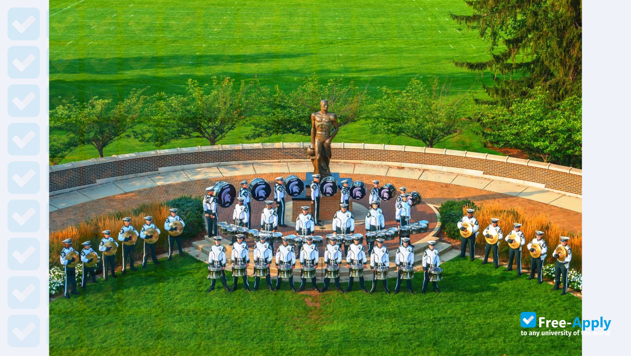 Michigan State University photo #9