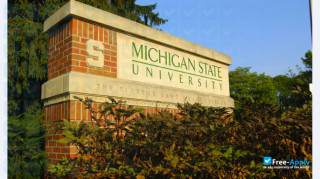 Michigan State University thumbnail #12