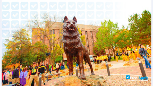 Photo de l’Michigan Technological University #7