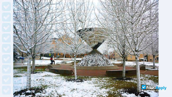 Northern Illinois University photo #5