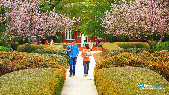 Presbyterian College photo #10