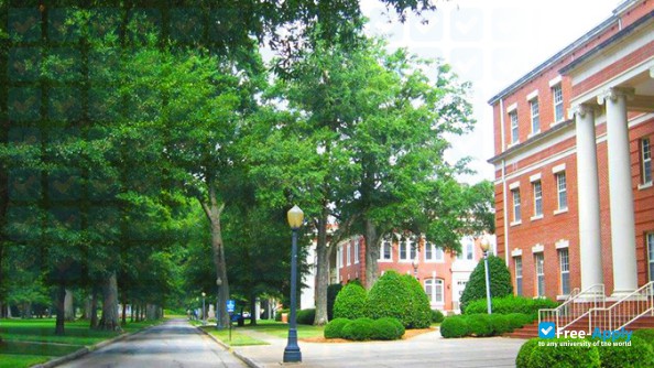 Presbyterian College photo #6