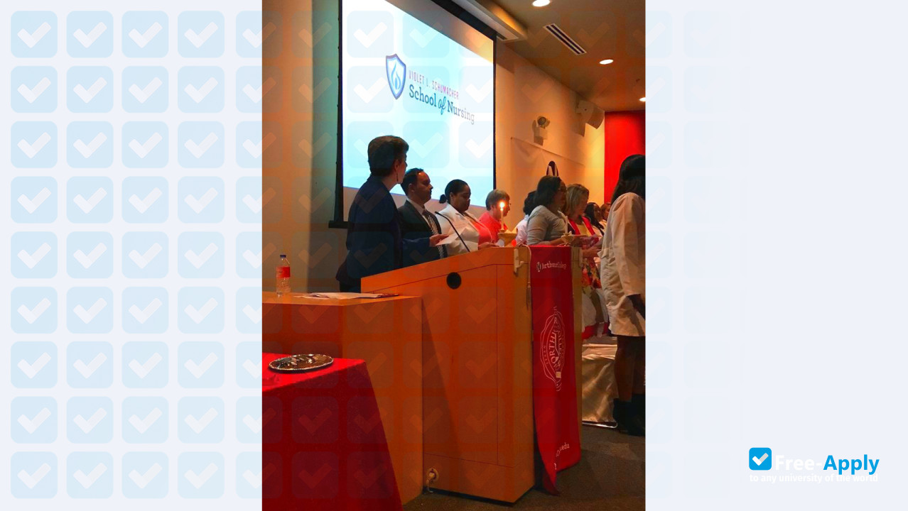 Photo de l’Northwestern College Chicago #5