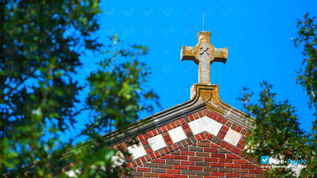 Newman University, Wichita фотография №5