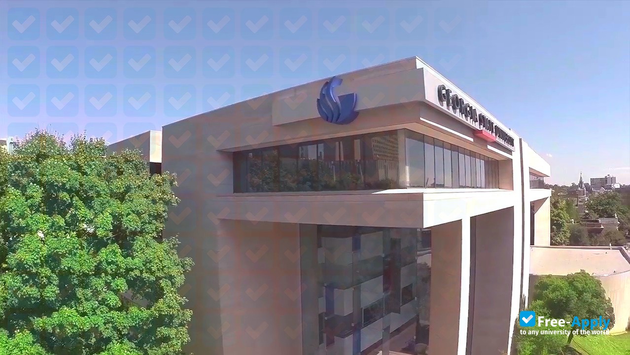 Georgia State University photo #4