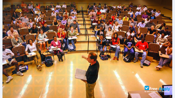 Georgia State University photo #10