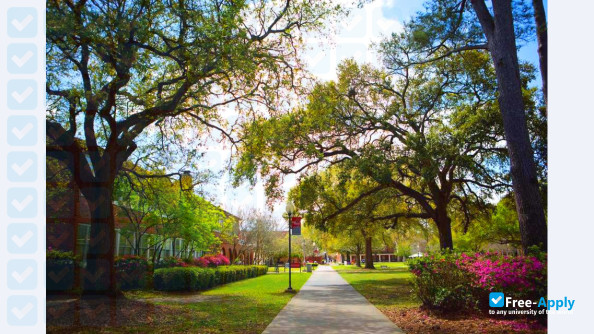 Nicholls State University фотография №9