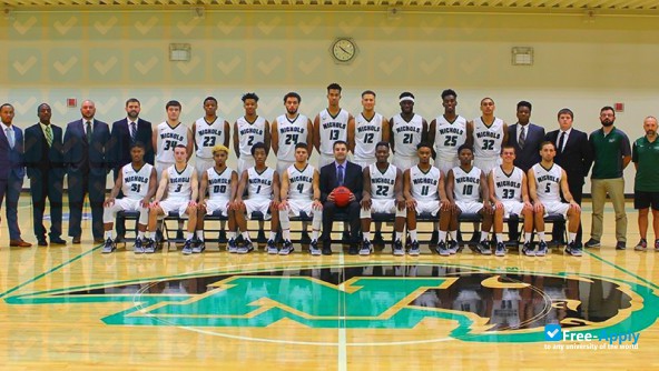 Photo de l’Nichols College #4