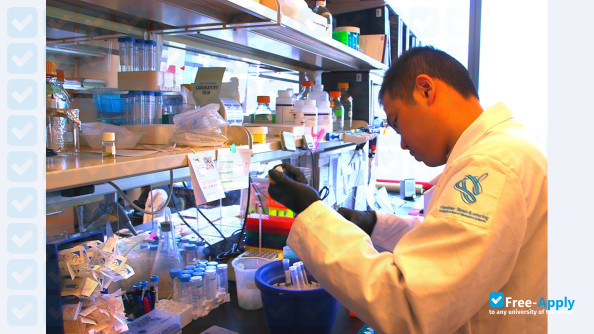 Gerstner Sloan-Kettering Graduate School of Biomedical Sciences photo #8