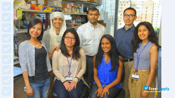 Gerstner Sloan-Kettering Graduate School of Biomedical Sciences photo #4