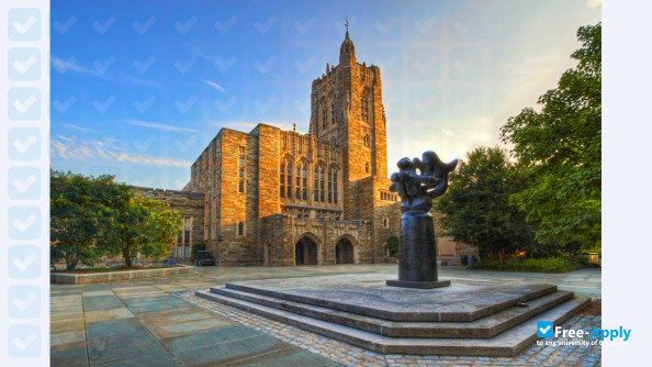 Foto de la Princeton University #9
