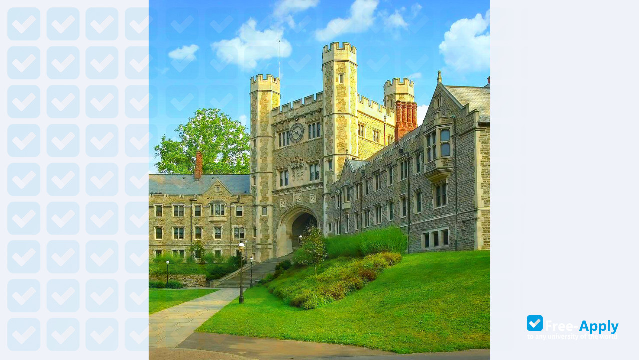 Photo de l’Princeton University #8