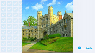 Miniatura de la Princeton University #8