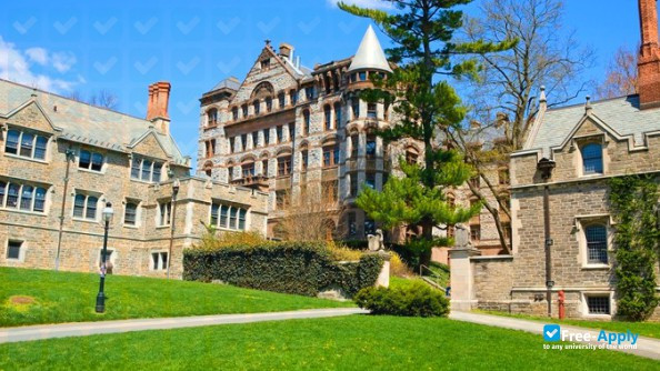 Princeton University фотография №10