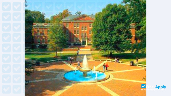 Foto de la Randolph Macon College #6