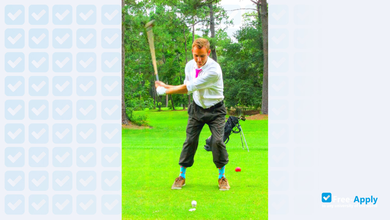 Professional Golfers Career College photo #9