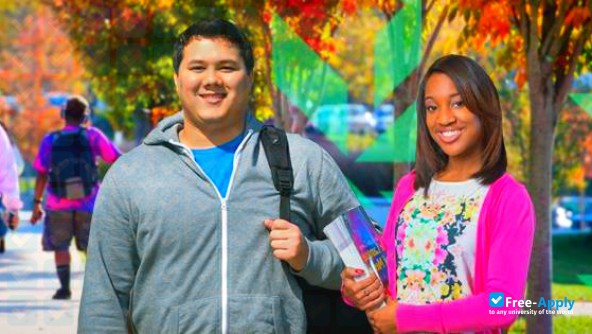 Northern Virginia Community College фотография №12