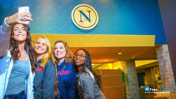 Northland Community & Technical College фотография №8