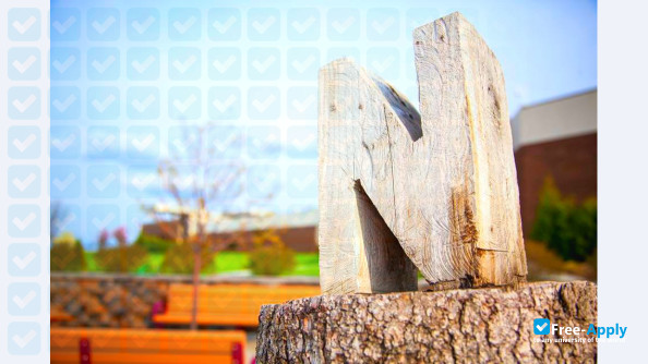 Northland Community & Technical College фотография №7