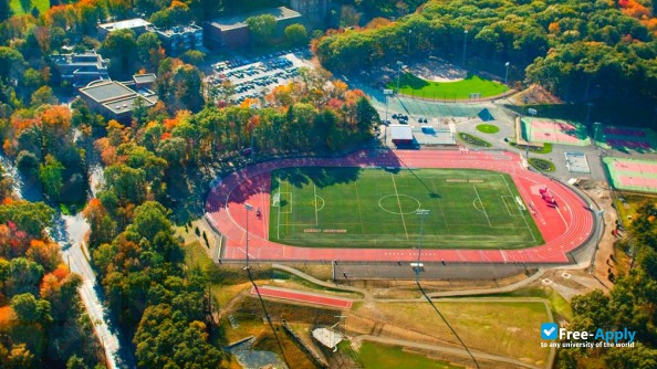 Foto de la Regis College #1