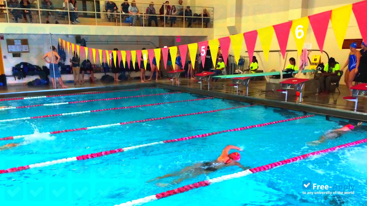 Foto de la Regis College #5